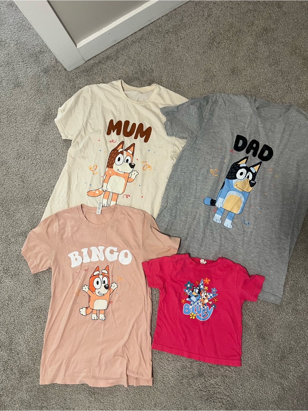 Kids Bluey Family Graphic Tee - Mum, Dad, Bingo, Bluey